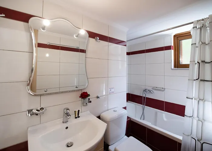 Delphinus Nefeli * Áyios Nikítas