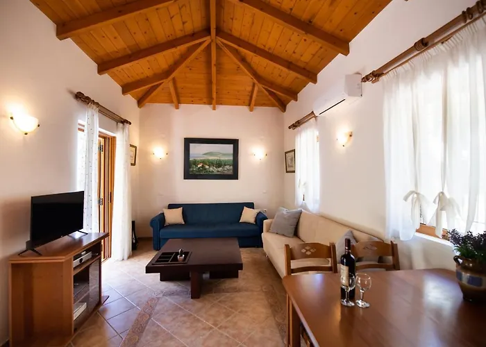 Delphinus Nefeli * Áyios Nikítas