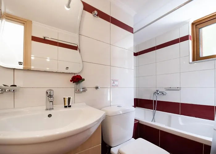 Delphinus Nefeli Apartment Agios Nikitas