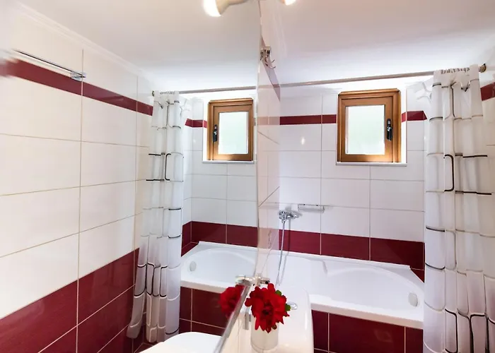 Delphinus Nefeli * Agios Nikitas